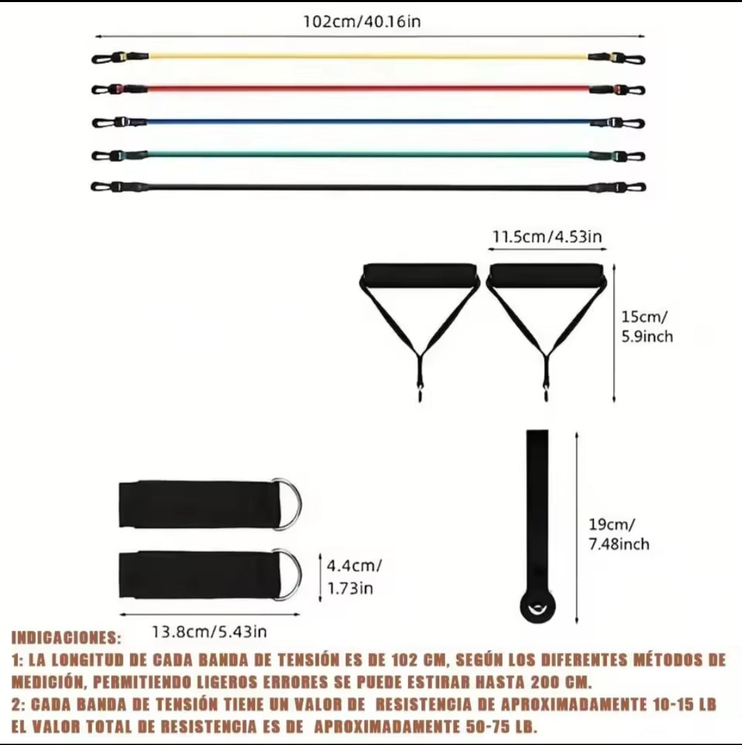 Bandas Elasticas de Musculacion
