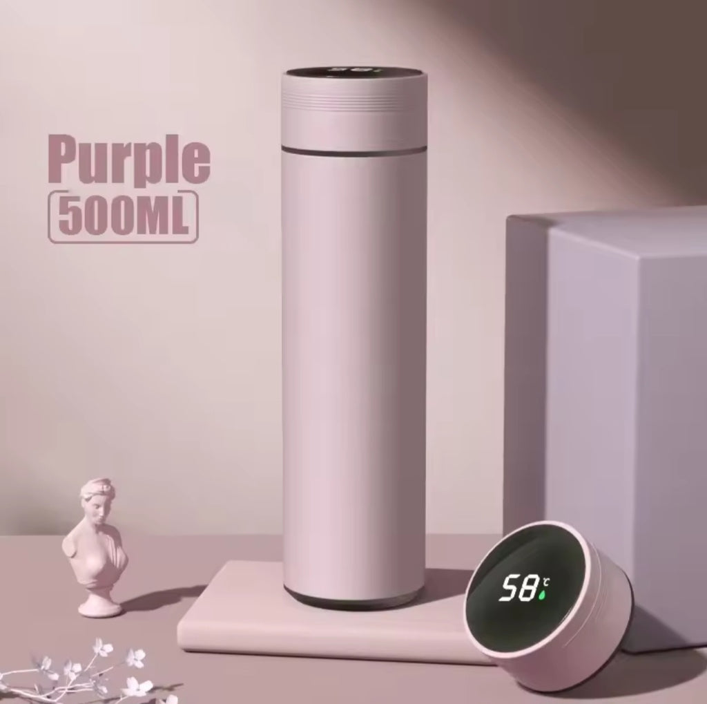 Termo con Pantalla de Temperatura